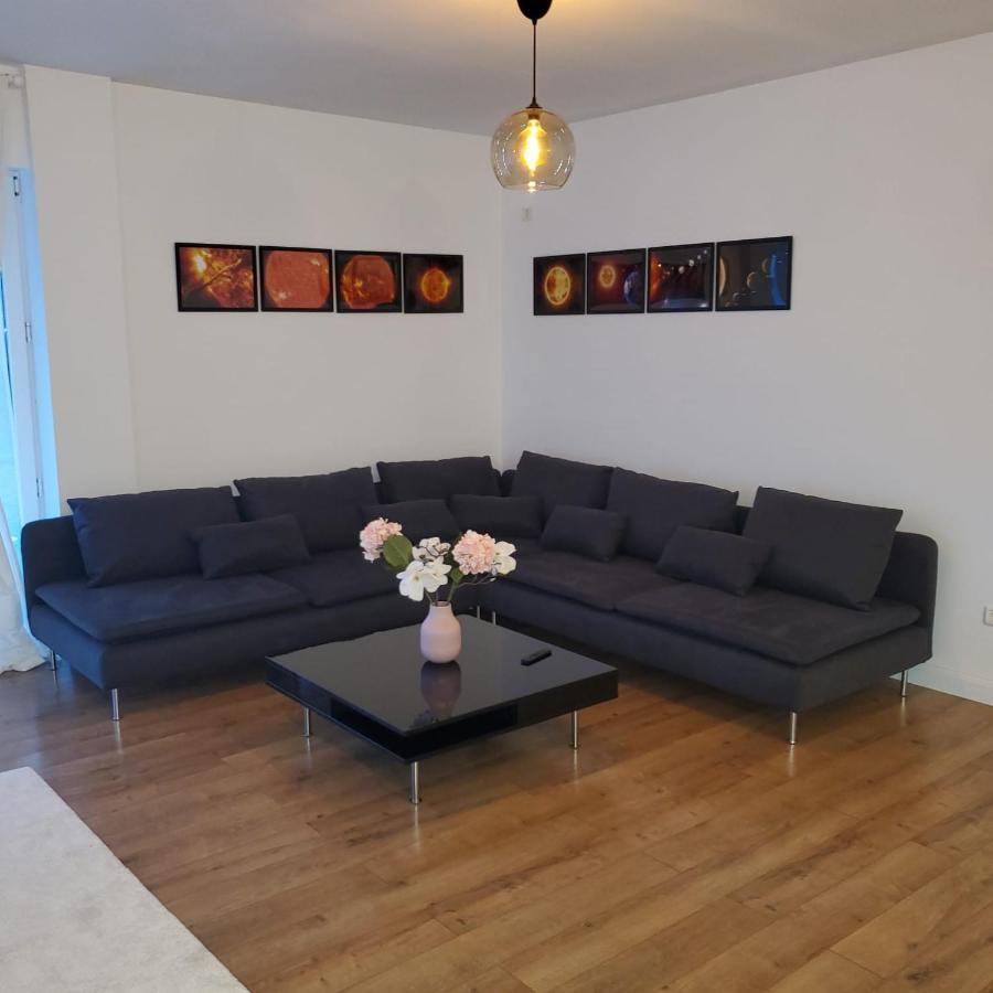 Galaxy Residence Villa Otopeni Εξωτερικό φωτογραφία